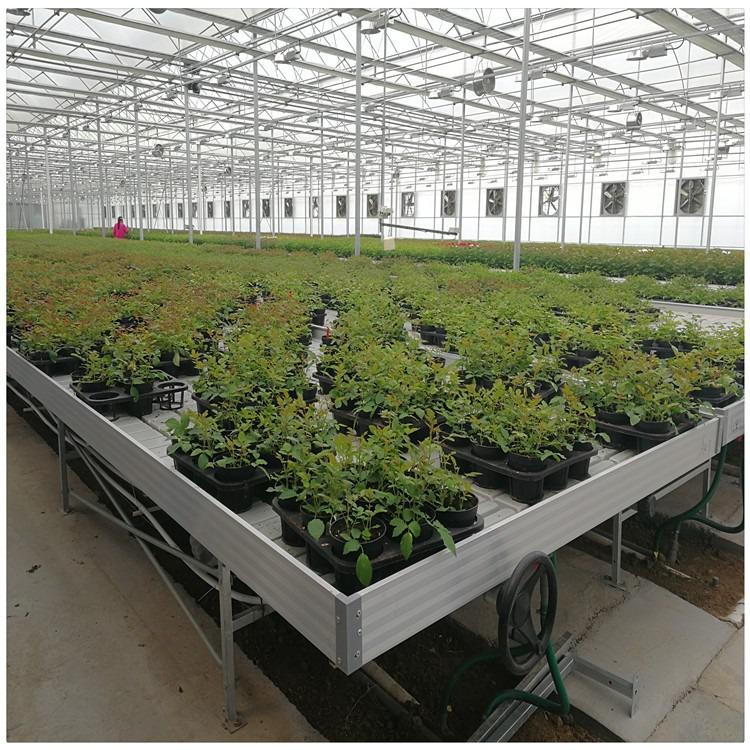 不是什么植物都適用于潮汐苗床的？
